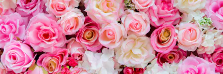 Various shades of pink and white roses closely packed together, creating a dense floral arrangement.