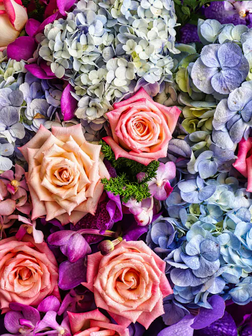 Close up floral arrangement with peach roses, blue hydrangea, and purple orchids in a garden style bouquet