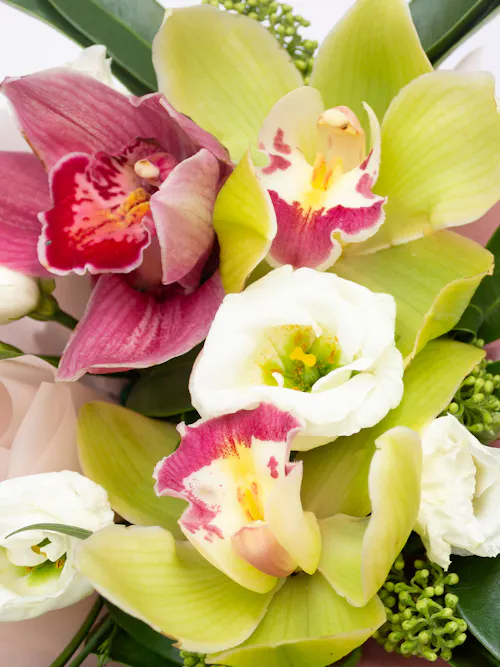 Close up of tropical stems in green, pink, and white tones with soft petals and tropical foliage