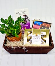 Succulents & Sweets Crate