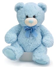 Baby Boy Blue Bear