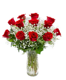 Classic Dozen Red Roses