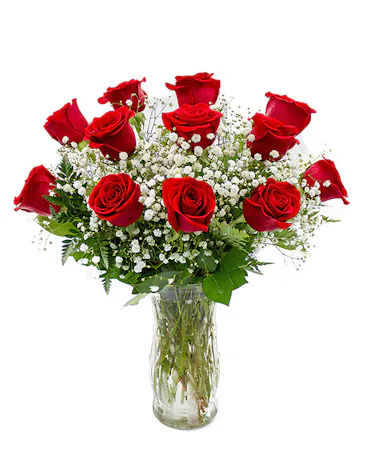 One Dozen Red Roses with Babies Breath