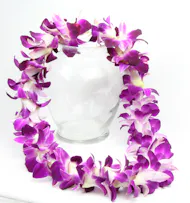 Dendrobium Orchid Lei