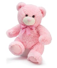 Baby Girl Pink Bear