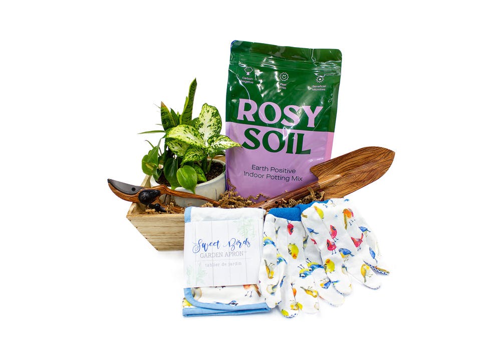 Green Thumb Starter Kit Yonkers & White Plains (NY) SameDay Flower