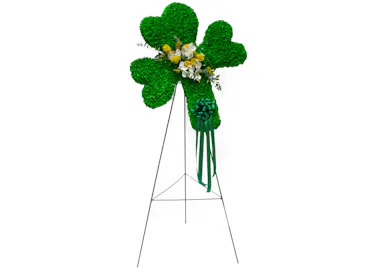 Full Green Carnation Shamrock