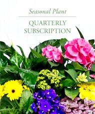 Quarterly Seasonal Plant