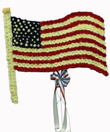 American Flag
