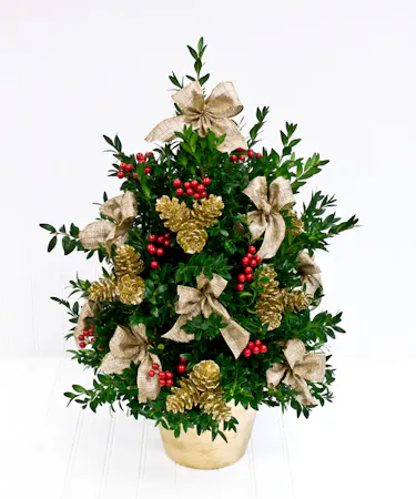 Handmade Boxwood Tree in Gold Pot