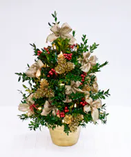 Boxwood Christmas Tree