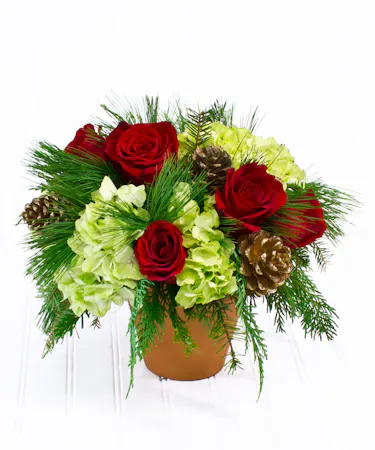 Red Roses & Green Hydrangea in Terra Cotta Pot