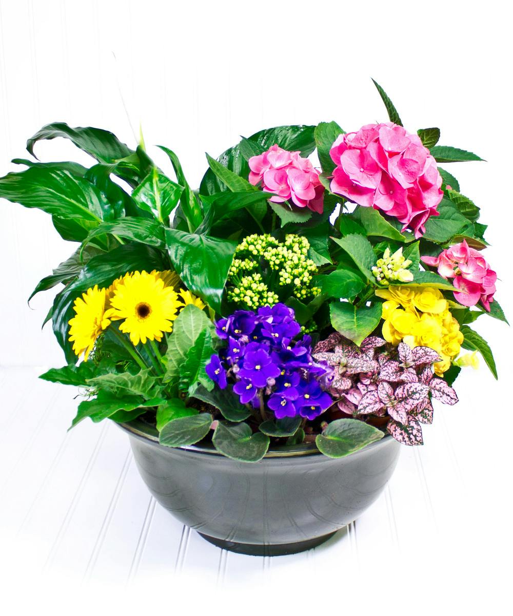 European Garden Yonkers Florist Blossom Flower Shops