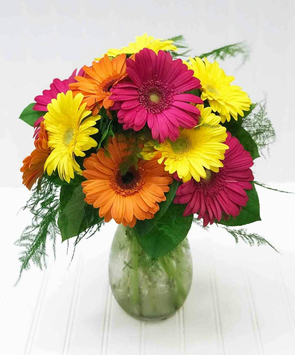 Gerbera Bright Yonkers Florist Whestchester Delivery