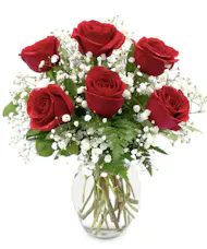 Half Dozen Red  Roses
