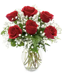 Half Dozen Red  Roses