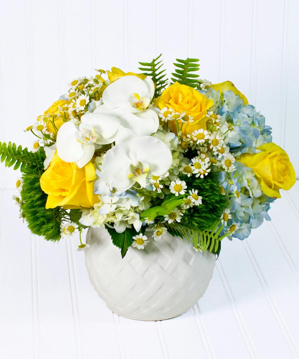 Here Comes the Sun Flower Delivery Blossom Flower Shops Yonkers, NY