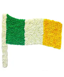 Irish Flag