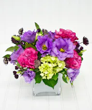 Lovely Lavender - Best Seller