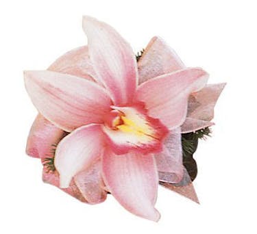 Cymbidium Orchid Corsage Blossomflower Com