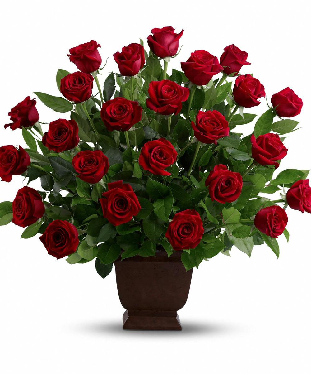 Rose Tribute Funeral Flowers Yonkers Florist