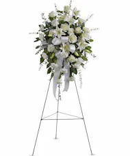 Sentiments of Serenity Spray