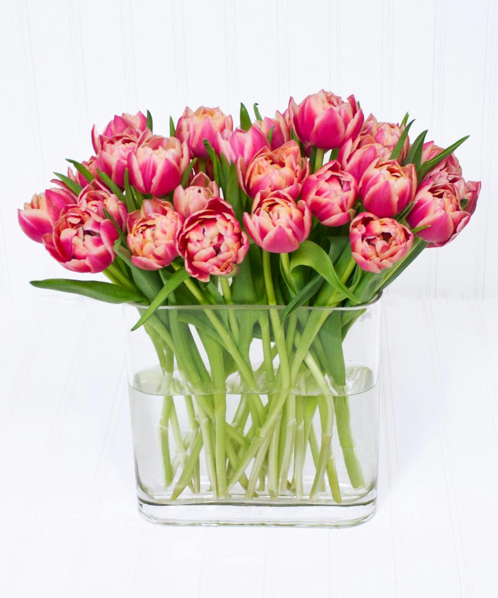 Simply Tulips Yonkers & White Plains Tulip Flower Delivery