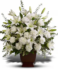 Sincere Purity