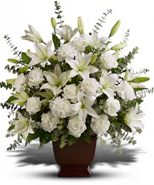 Sincere Purity