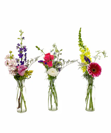 Send Flowers for Secretary's Day Yonkers & White Plains (New York)