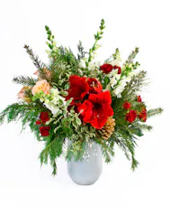 Yuletide Cheer