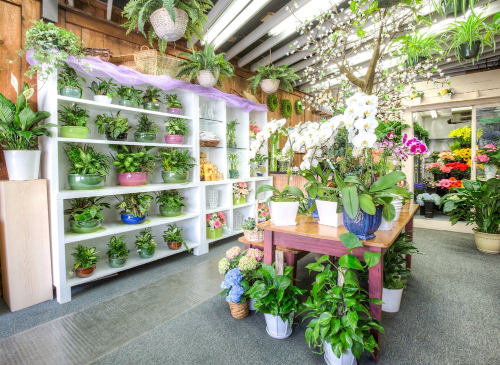 Yonkers & White Plains (NY) Florist Blossom Flower Shop