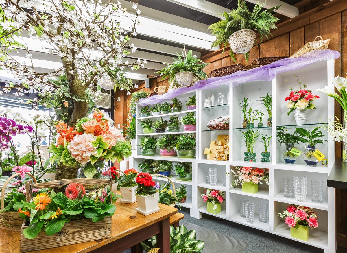 Blossom Flower Shops Hours & Address White Plains, NY