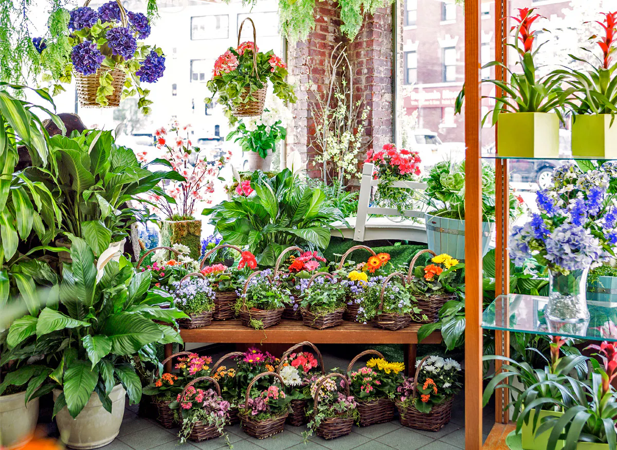 Blossom Flower Shops Hours & Address White Plains, NY